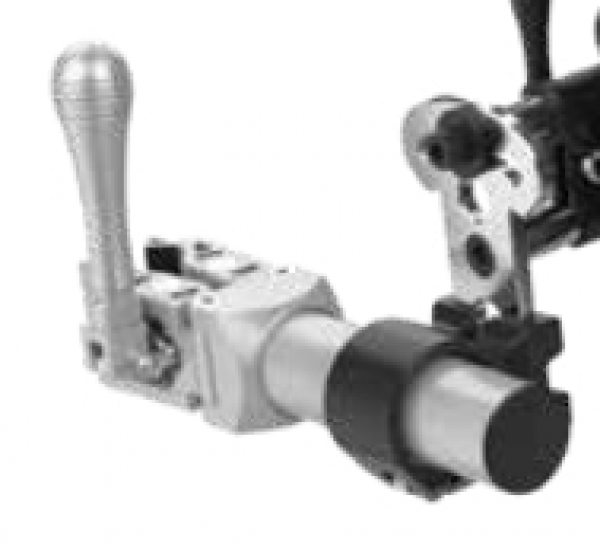 PAWS City 14 Zoll